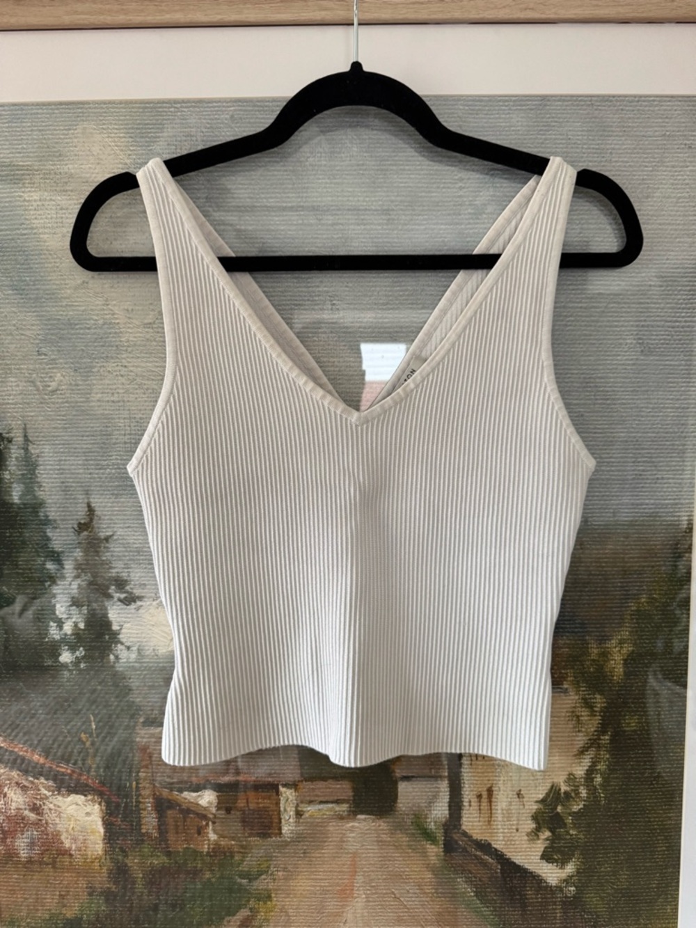 Aritiza Babaton Scult Knit V neck Tank
